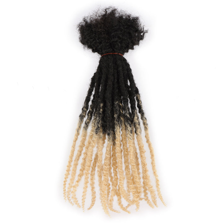 Orientfashion Ombre Textured Locs Human Hair (20 Locs Per Bundle)